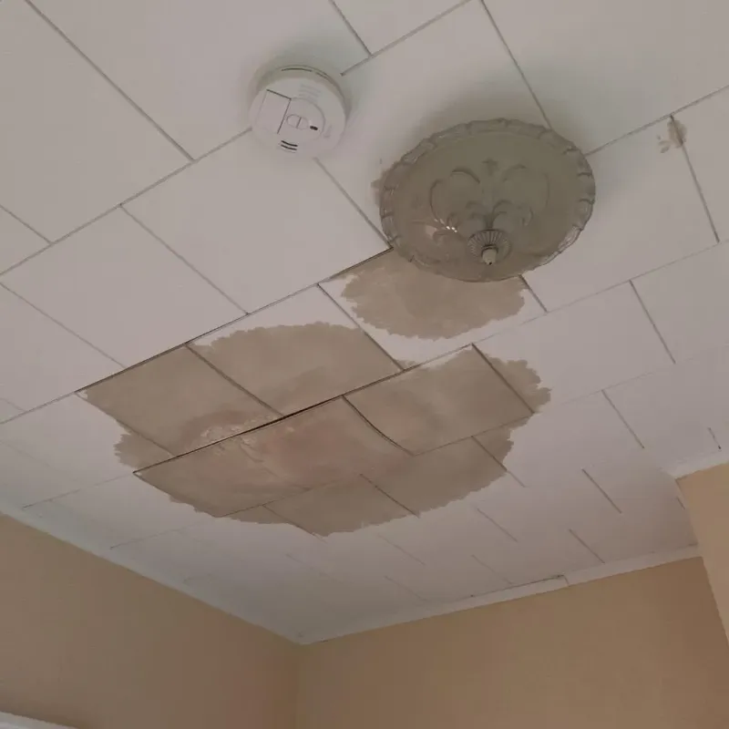 Ceiling Water Damage Repair in Pekin, IL
