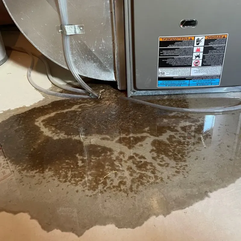 Pipe Burst and Leak Restoration in Pekin, IL